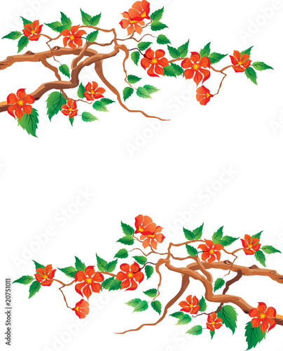 Wallpaper Mural floral background Torontodigital.ca