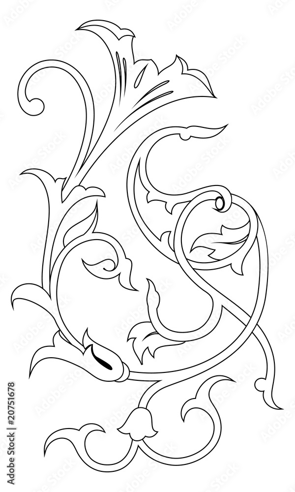Obraz premium floral elements for design