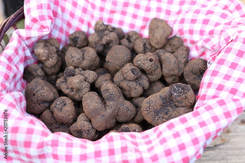 Truffes noires