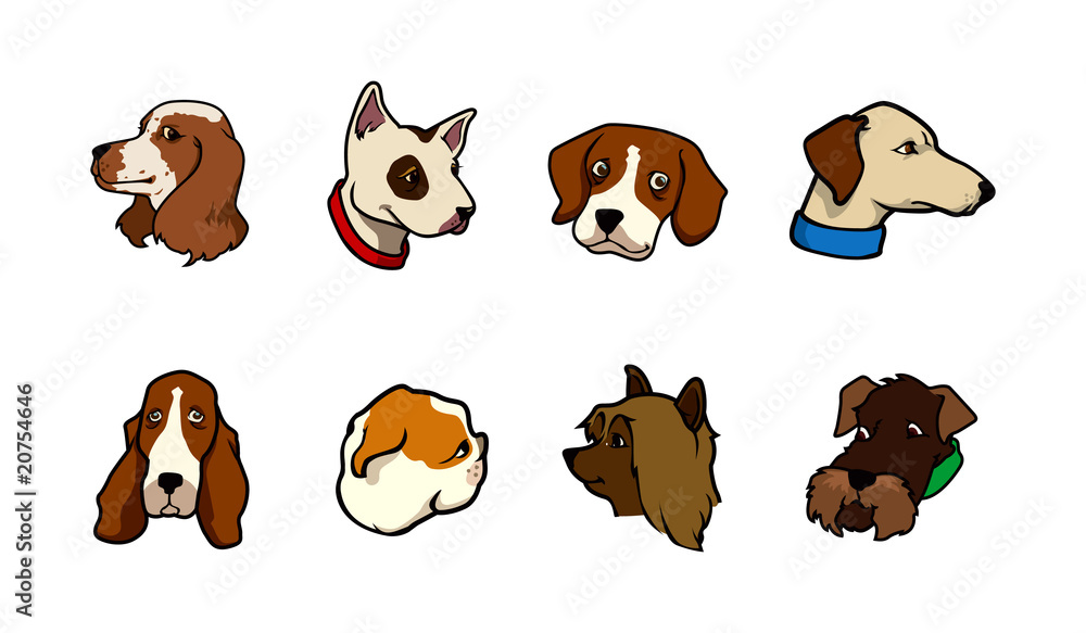 dog heads collection dog heads collection