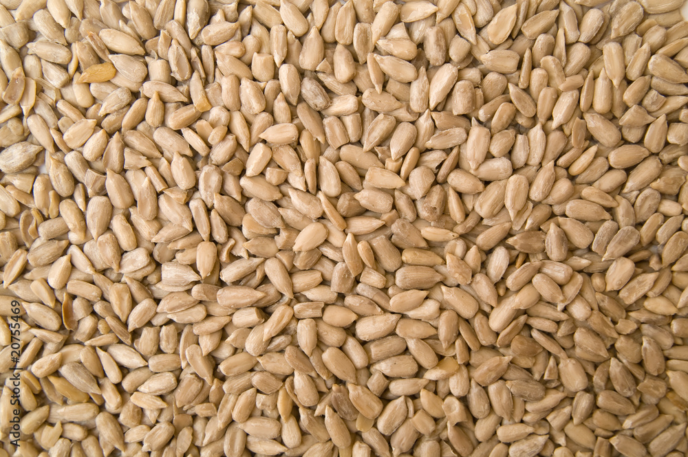 sunflower seeds sunflower seeds