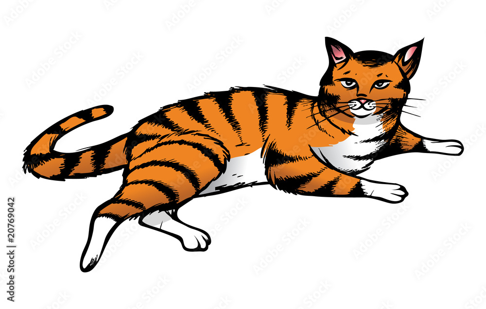 Fototapeta premium Tabby cat resting