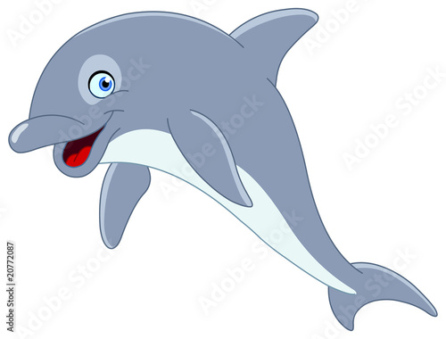 Smiley dolphin