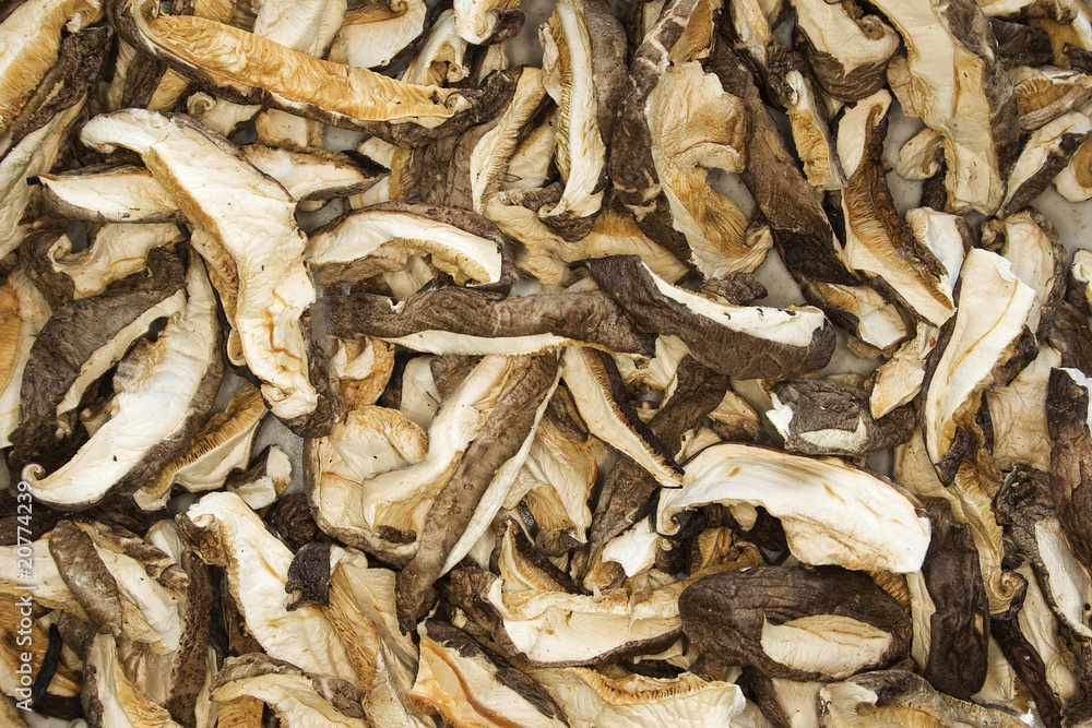 Shiitake Mushrooms Shiitake Mushrooms