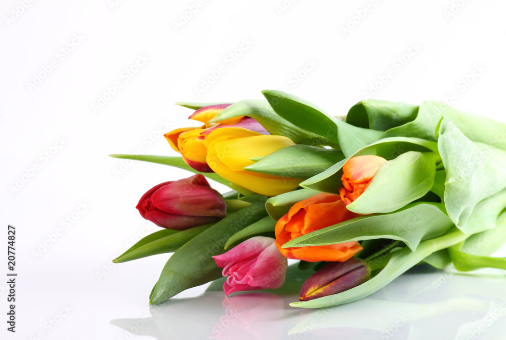 Tulpenstrauß Tulpenstrauß
