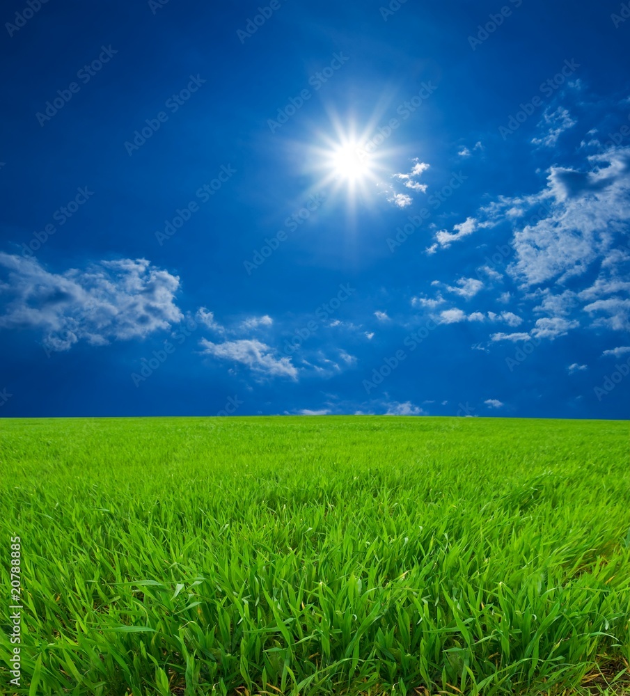 green field under a sparkle sun green field under a sparkle sun
