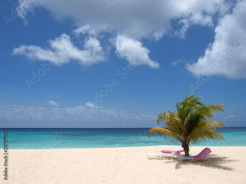 Fototapeta Naklejka Na Ścianę i Meble -  Barbados beach