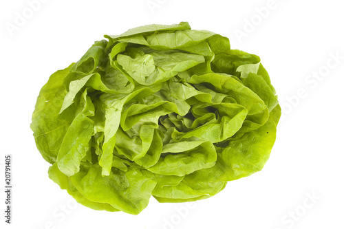 fresh lettuce on white