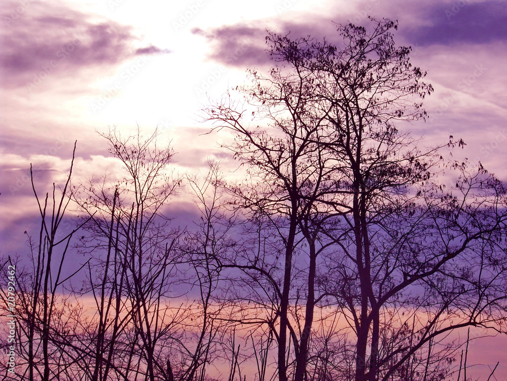 tramonto viola