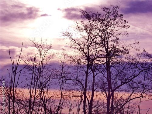 tramonto viola
