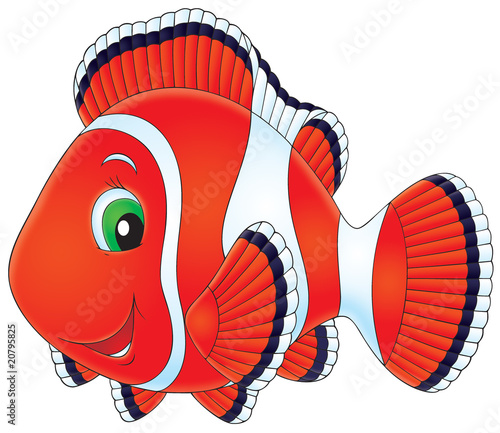 Canvas Print Anemonefish