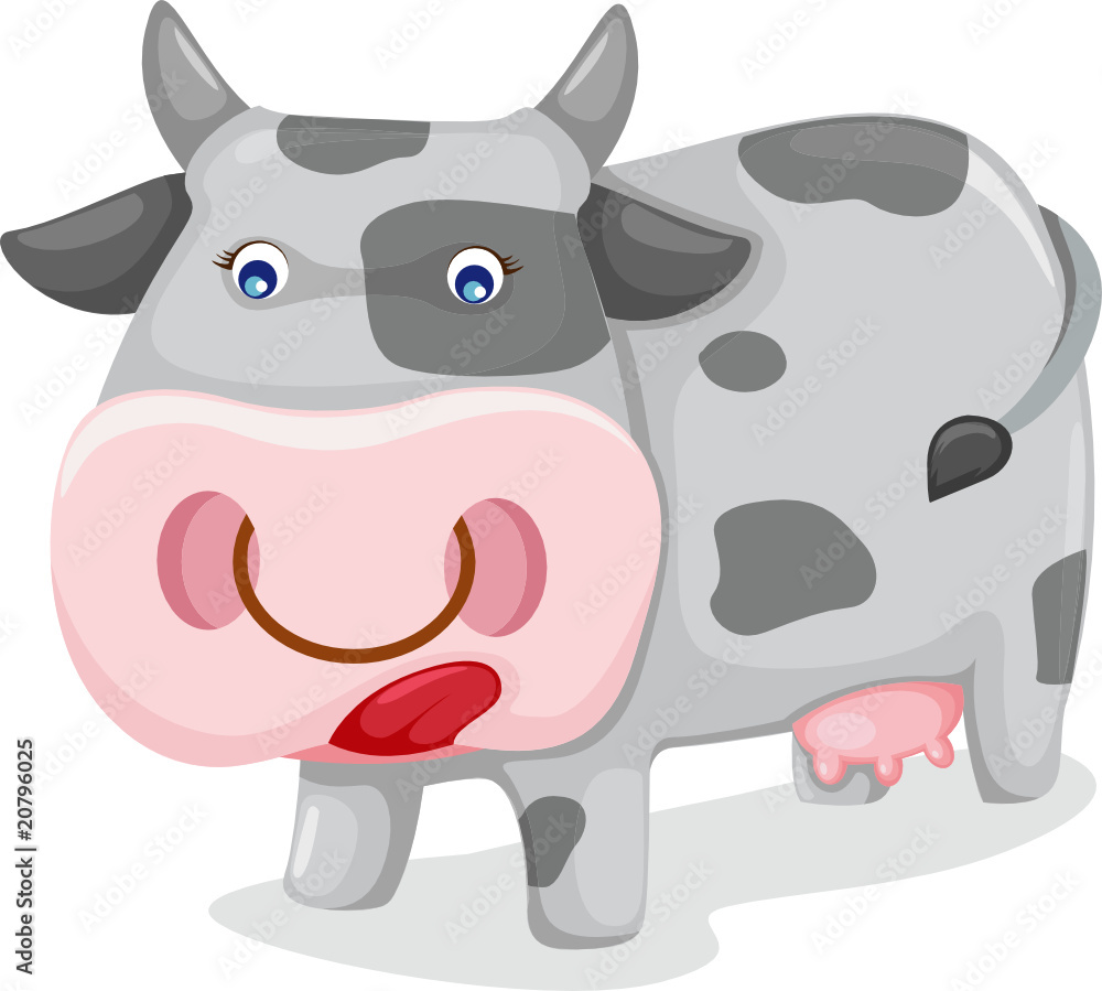 cow cow
