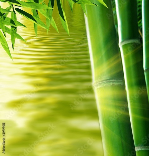 Zen bamboo and water