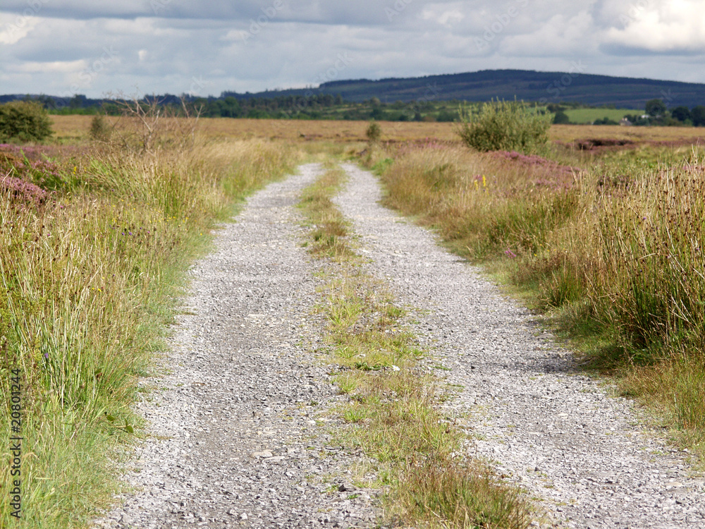 road with gravel in the country to nowhere