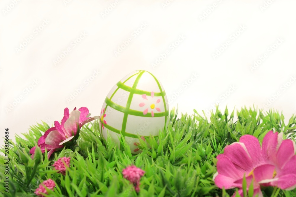 Fototapeta premium Osterei auf Blumenwiese