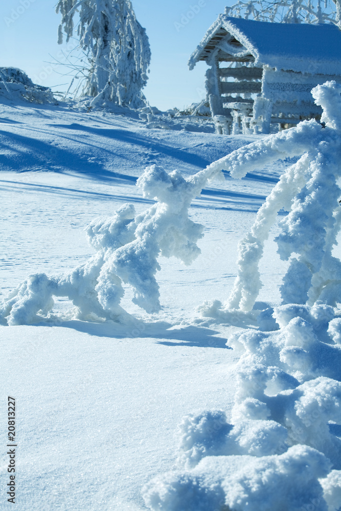 Obraz premium winter landscape