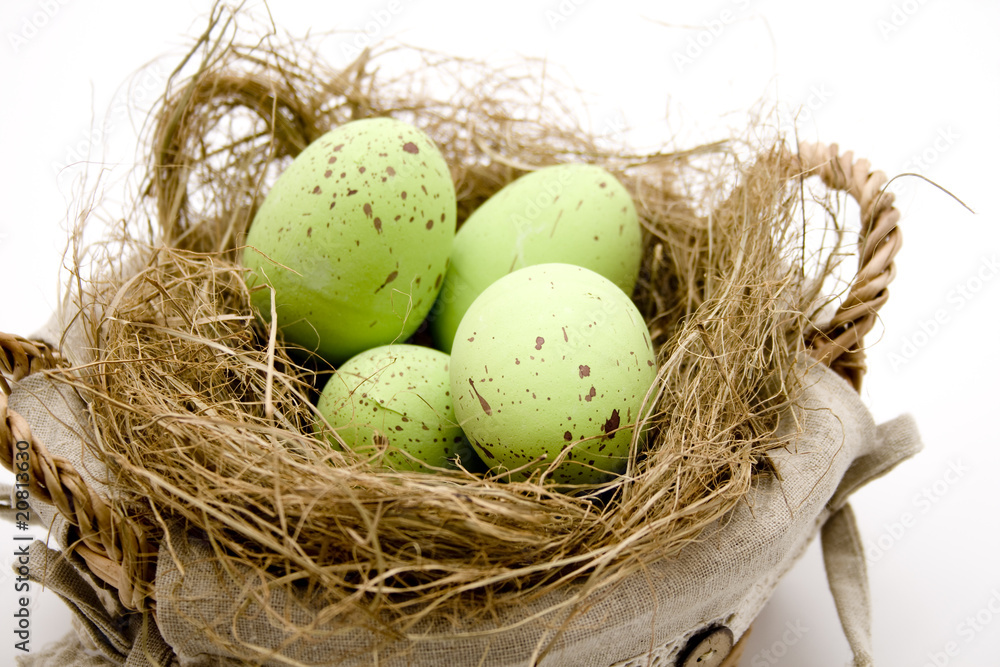 Obraz premium Osternest mit grüne Eier