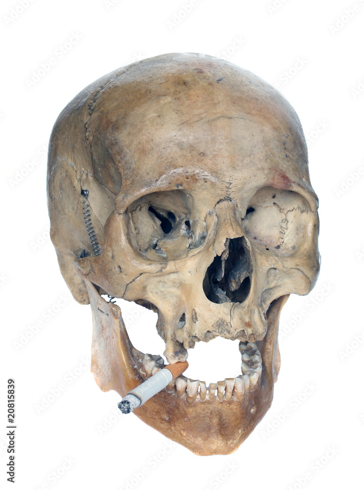 Skull of the person with a cigarette. Skull of the person with a cigarette.