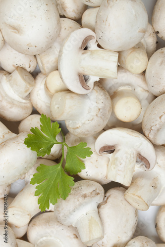 White button or champignon mushrooms