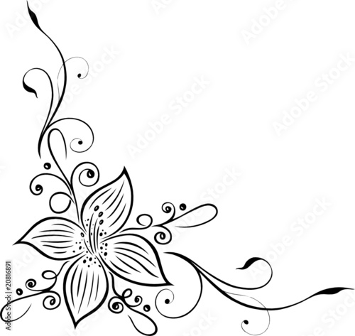 Große Blüte, Blumen, Lilie, Blüte, Ranke, filigran, floral