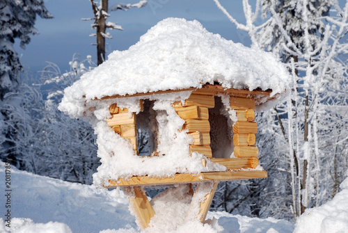eingeschneites Vogelhaus Winter