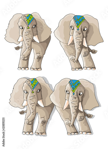 Eléphants de face