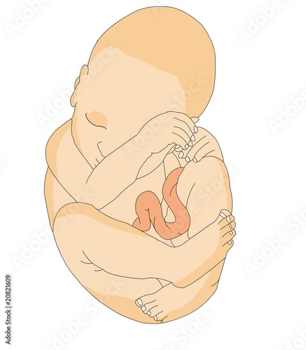 unborn baby