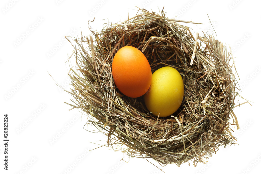 Nest with easter eggs Nest with easter eggs