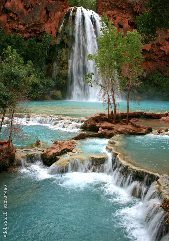 Fototapeta premium Havasu Falls Waterfall