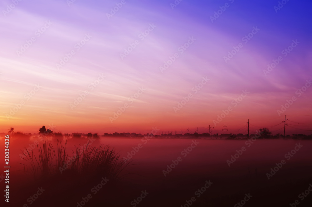 Fototapeta premium Crack of Dawn