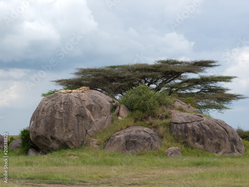 Kopjes Serengeti