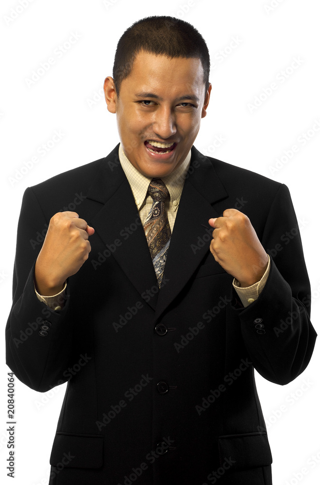 Fotografie Businessman Success