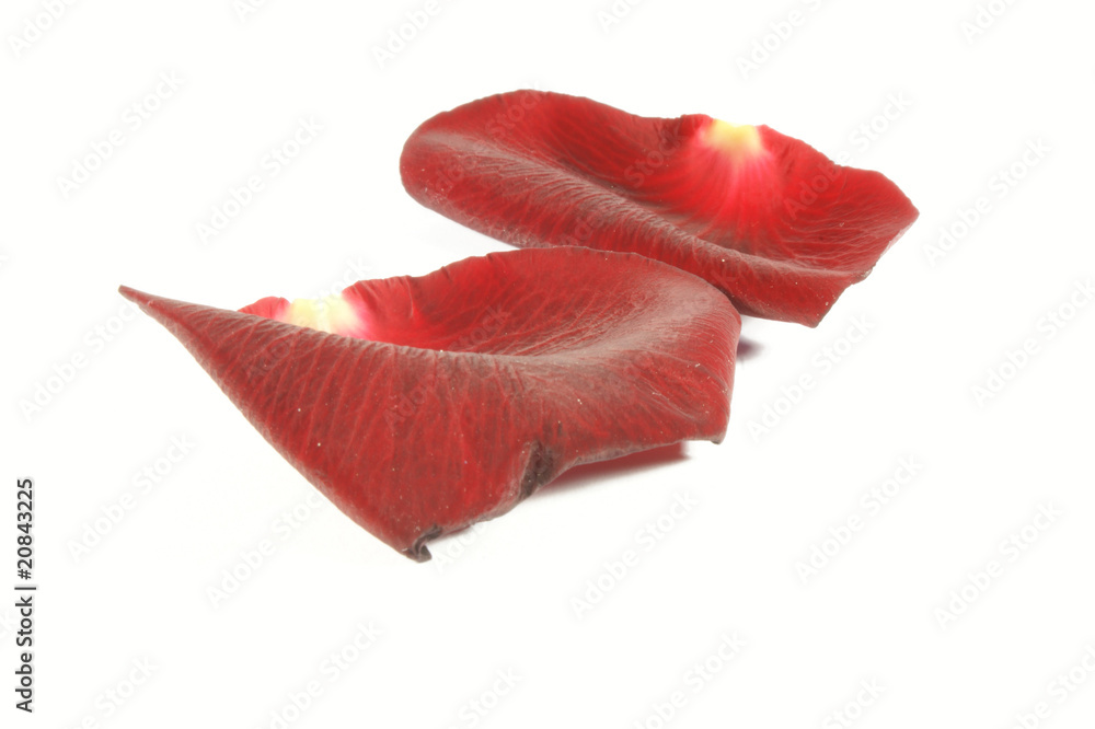 Rose leaves Rose leaves