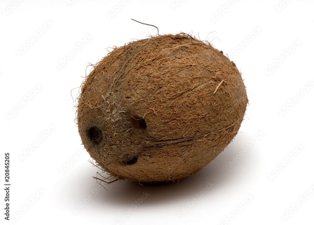 coconut coconut
