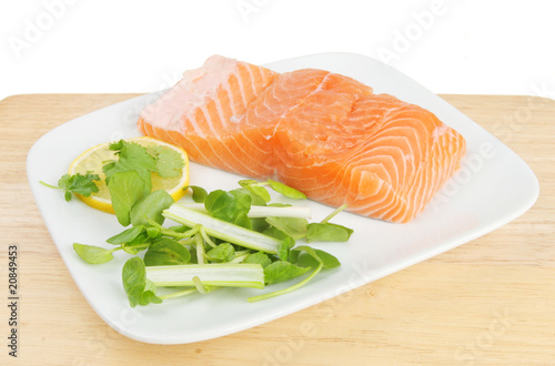Raw salmon fillet