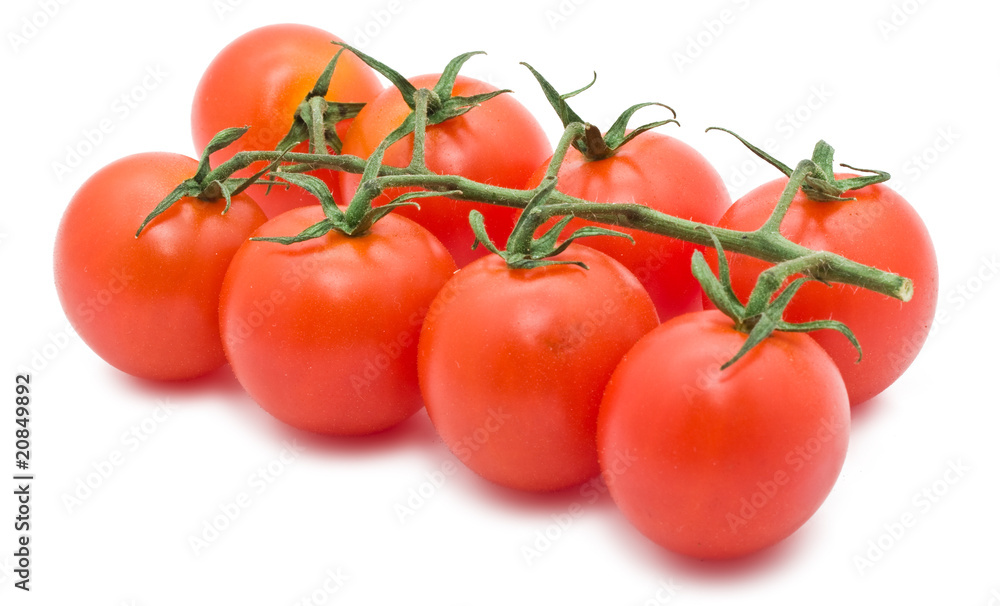 Tomato Tomato