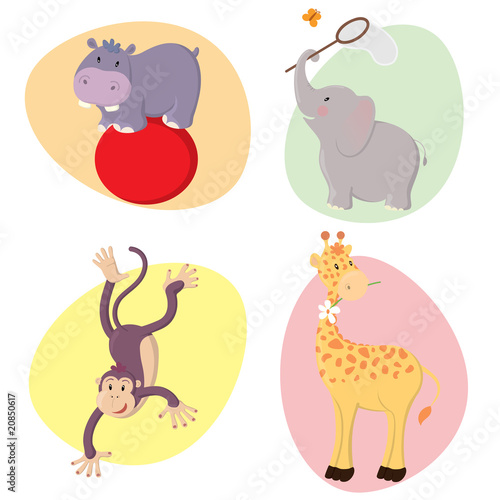 Cute Animals