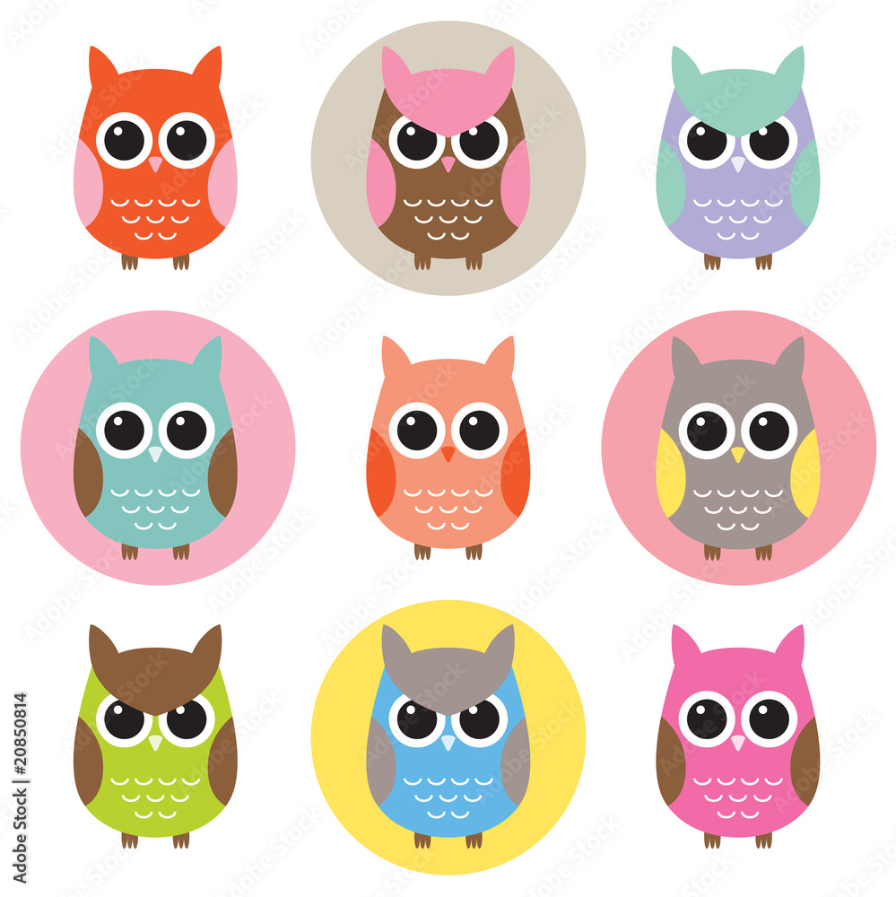 Naklejka Colorful Owl Characters