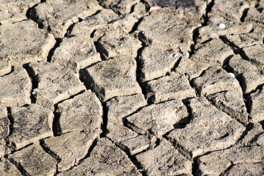 Fototapeta premium Trockene, rissige Erde