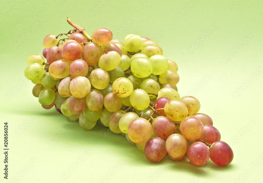 Fototapeta premium Cluster of Sweet Italian Grapes