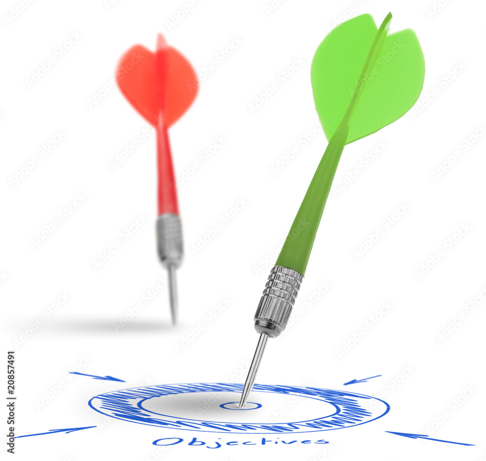 business target or marketing objectives business target or marketing objectives