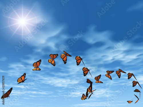le vol des papillons