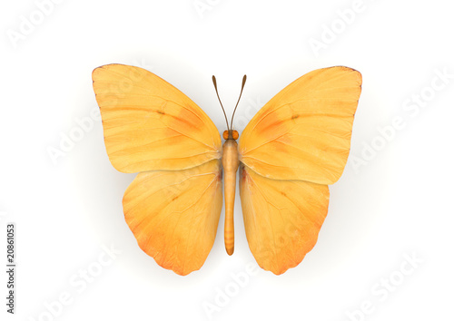 Orange Butterfly Isolated © sellingpix