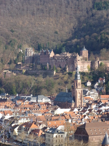 Blick auf Heidelberg