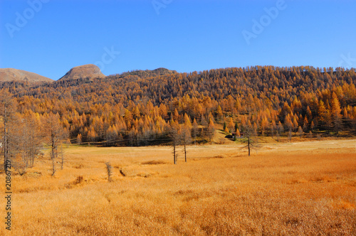 Scenery autumnal mountain landscape