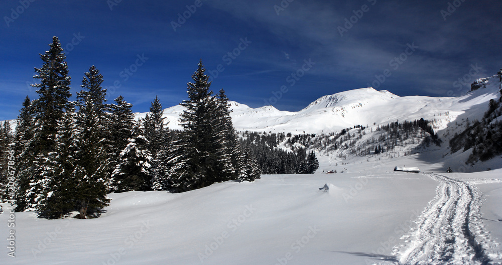 Fototapeta premium Winterlandschaft - winter landscape
