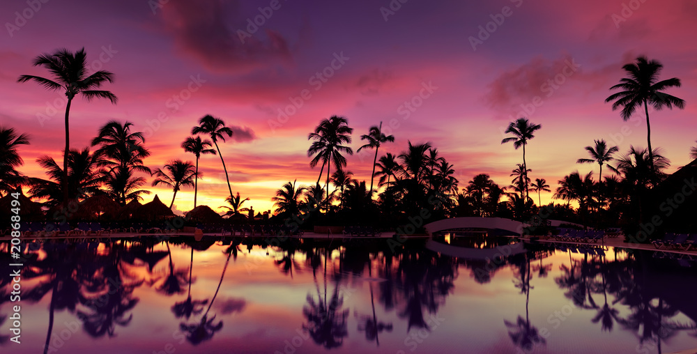 Pnorama Blue pink and red sunset over sea beach with palms - obrazy, fototapety, plakaty 