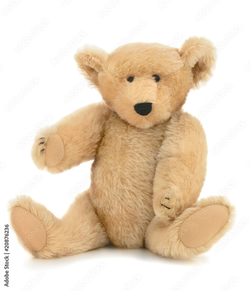 Obraz premium Old Teddybear