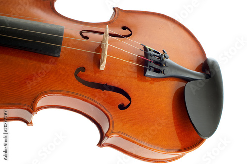 violino su fondo bianco