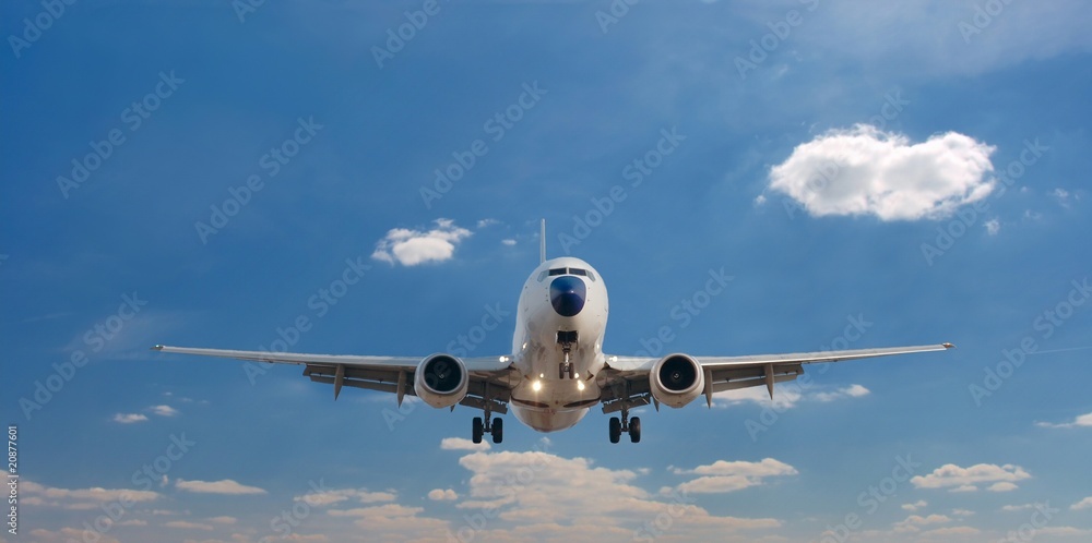 Fototapeta premium Plane